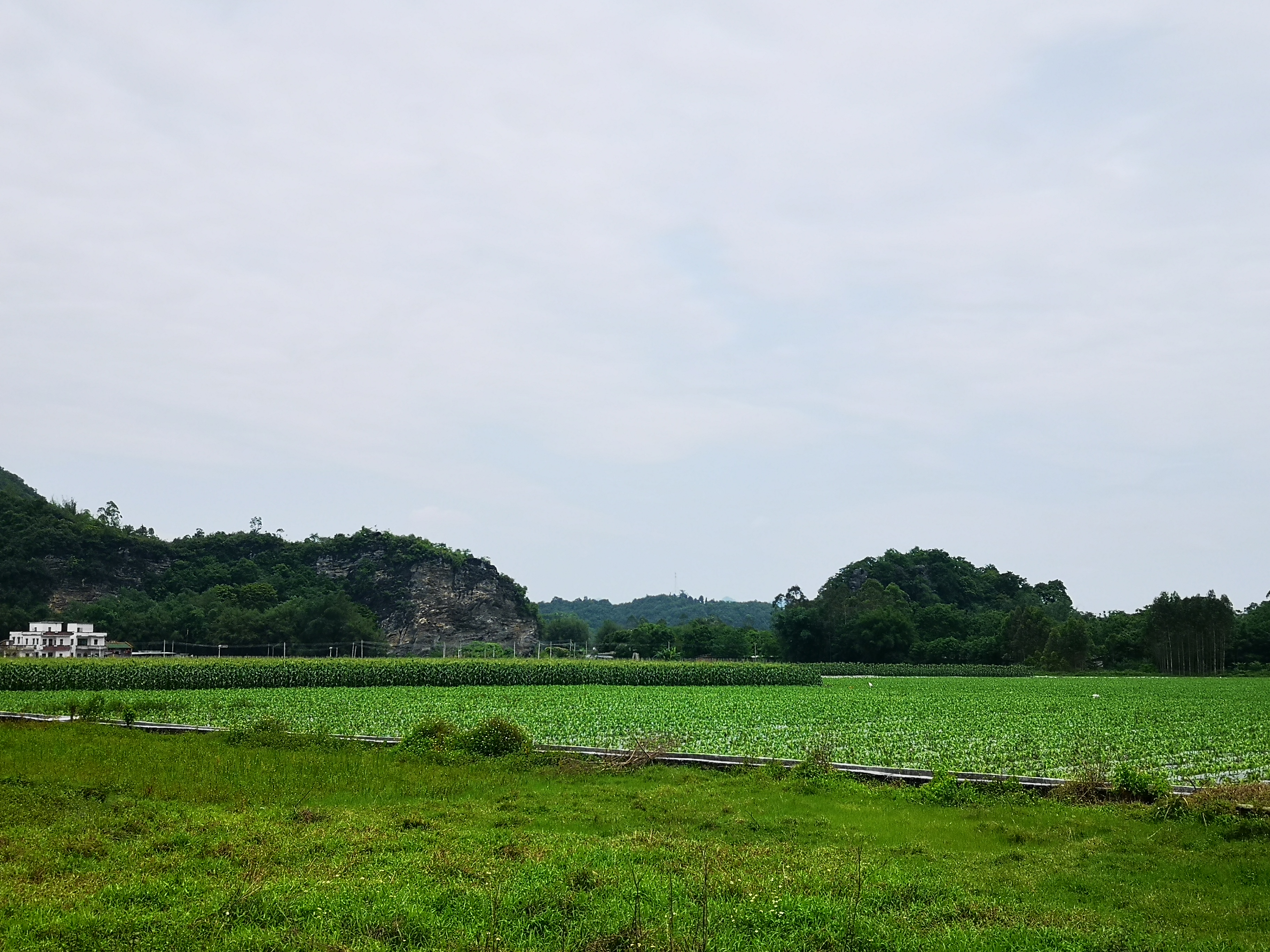 五一勞動節(jié)，致敬自己